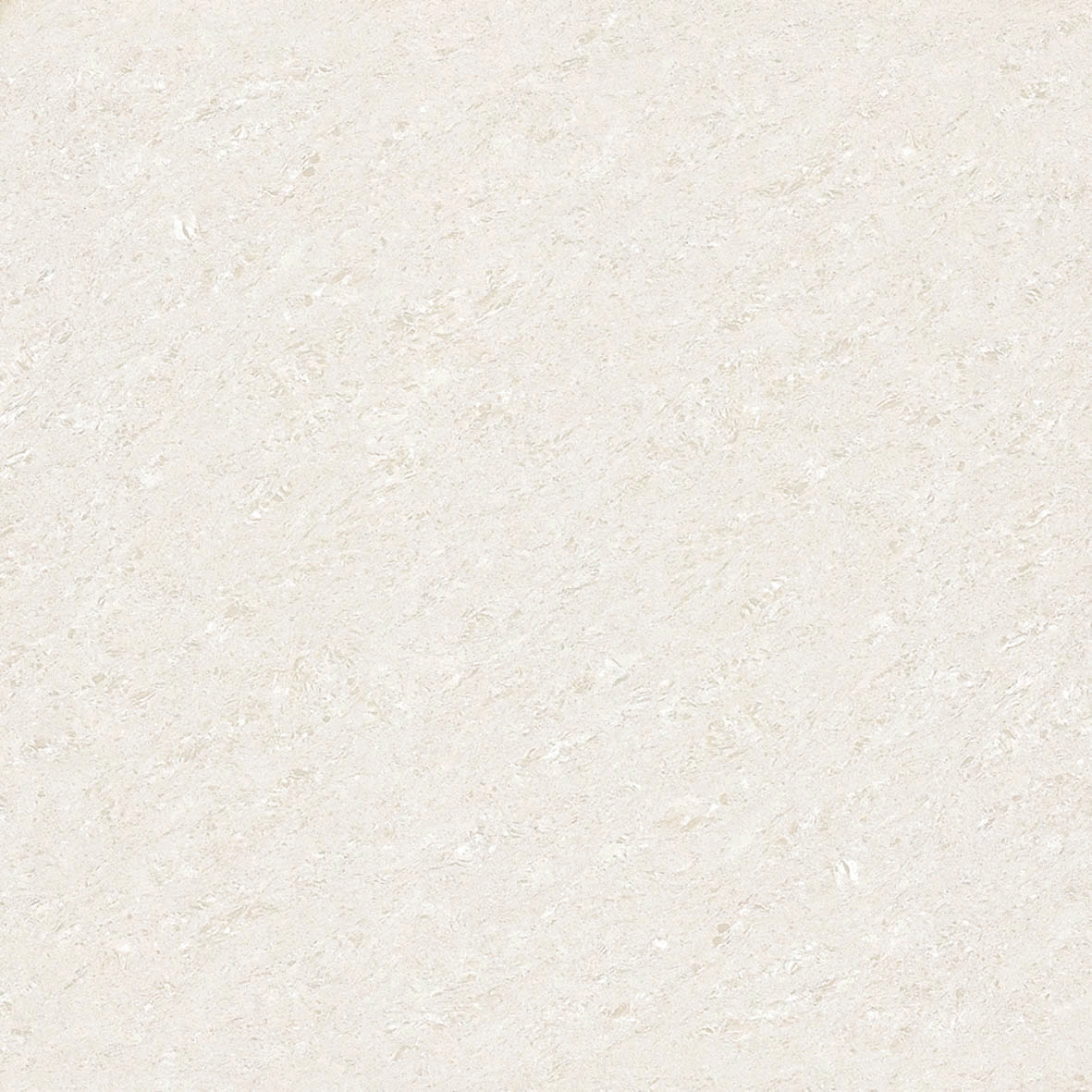 FJFL8236+A（FJFL6236+A）白色郁金香