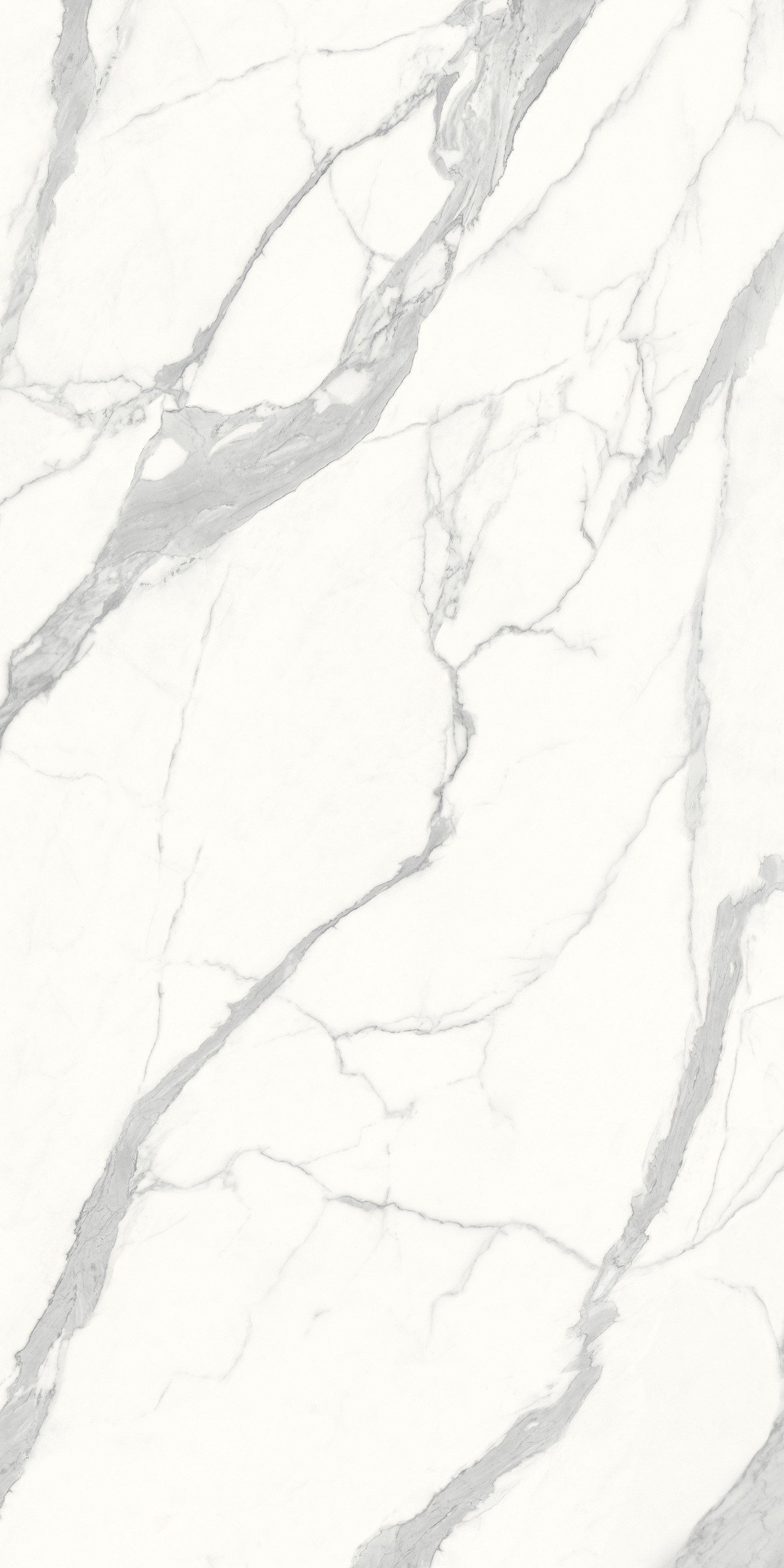 FYB122410意大利魚肚白