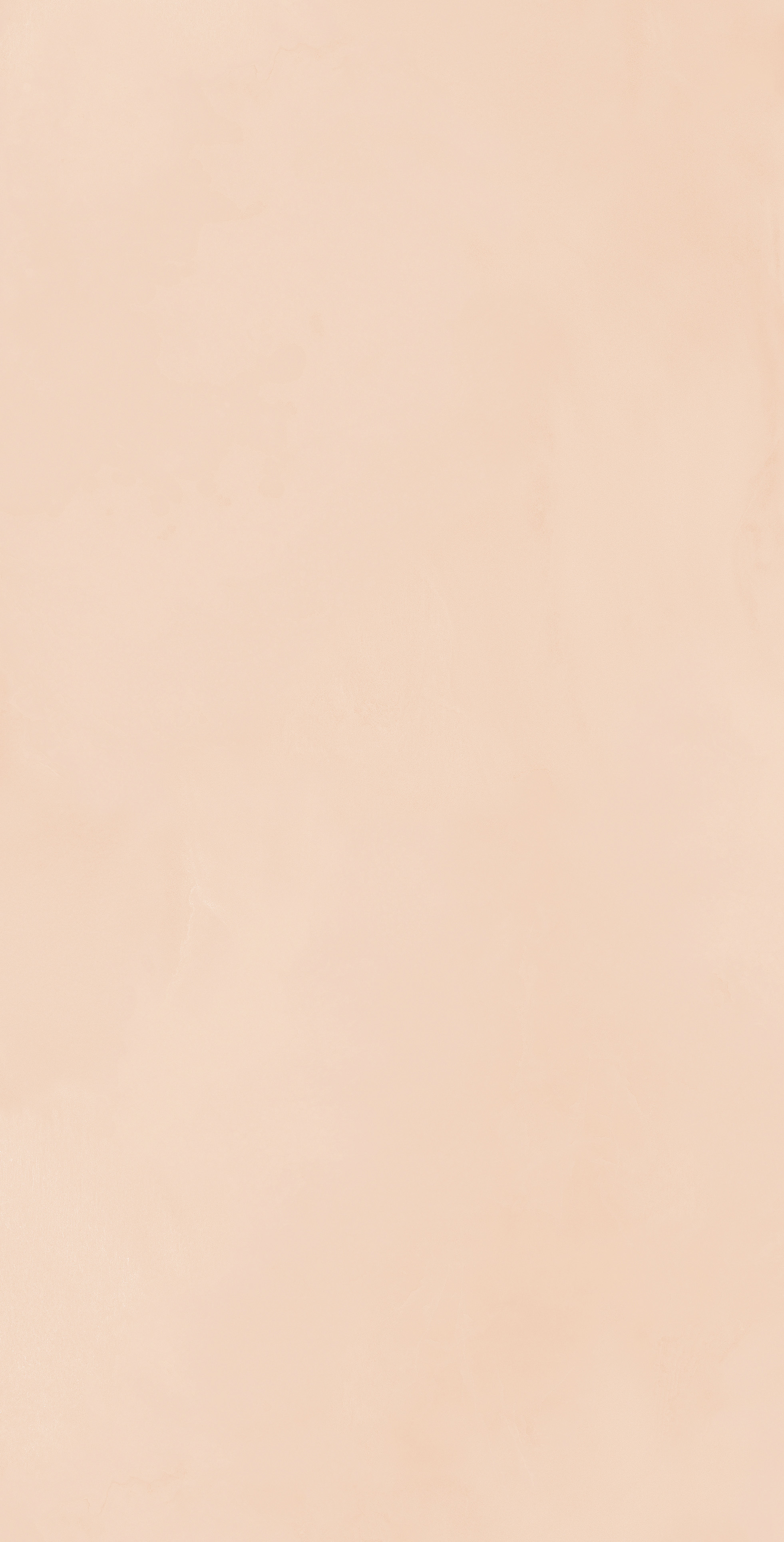 FDC12108梵高印象·黛粉