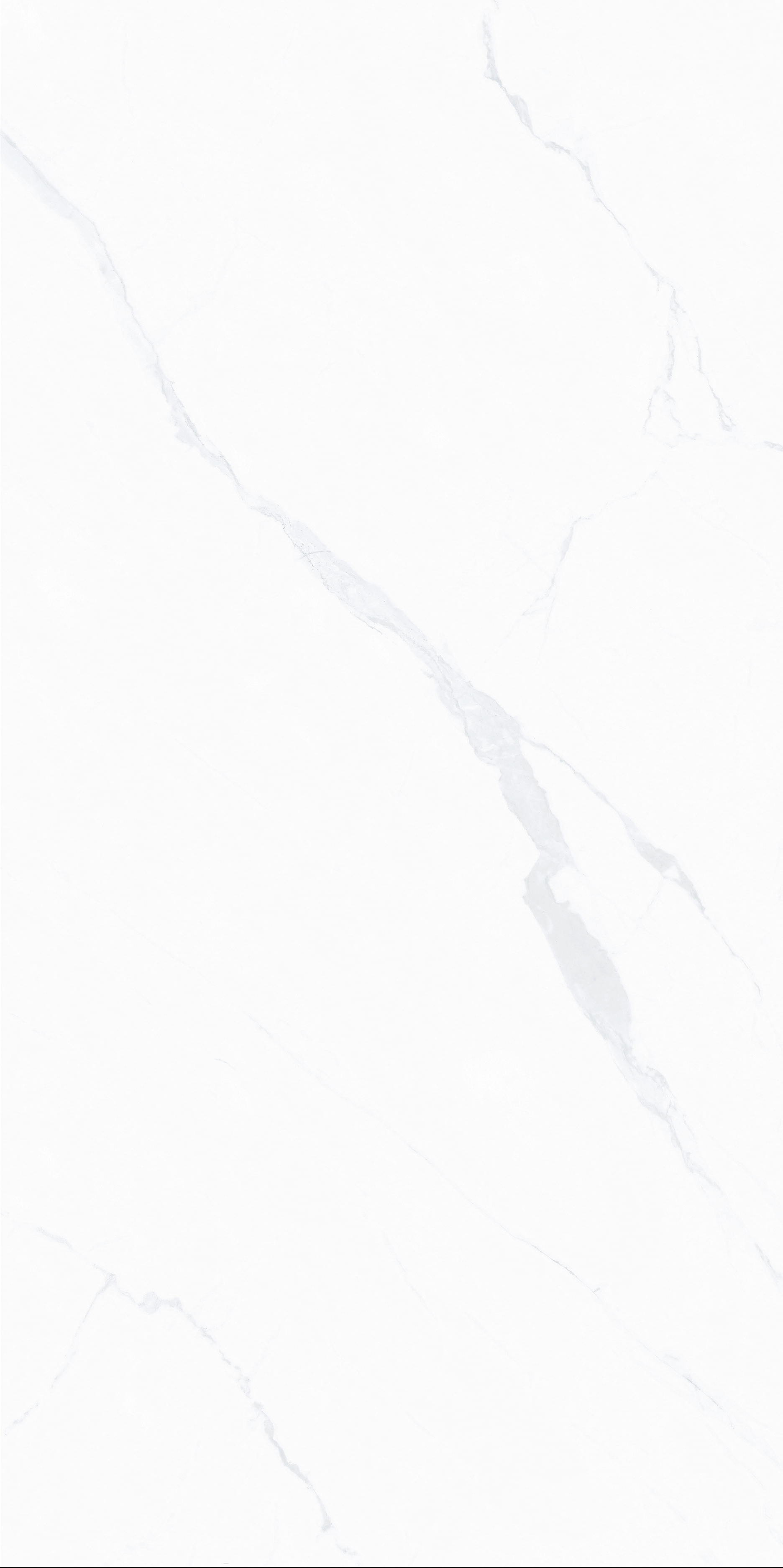 FDB12101卡琳娜白