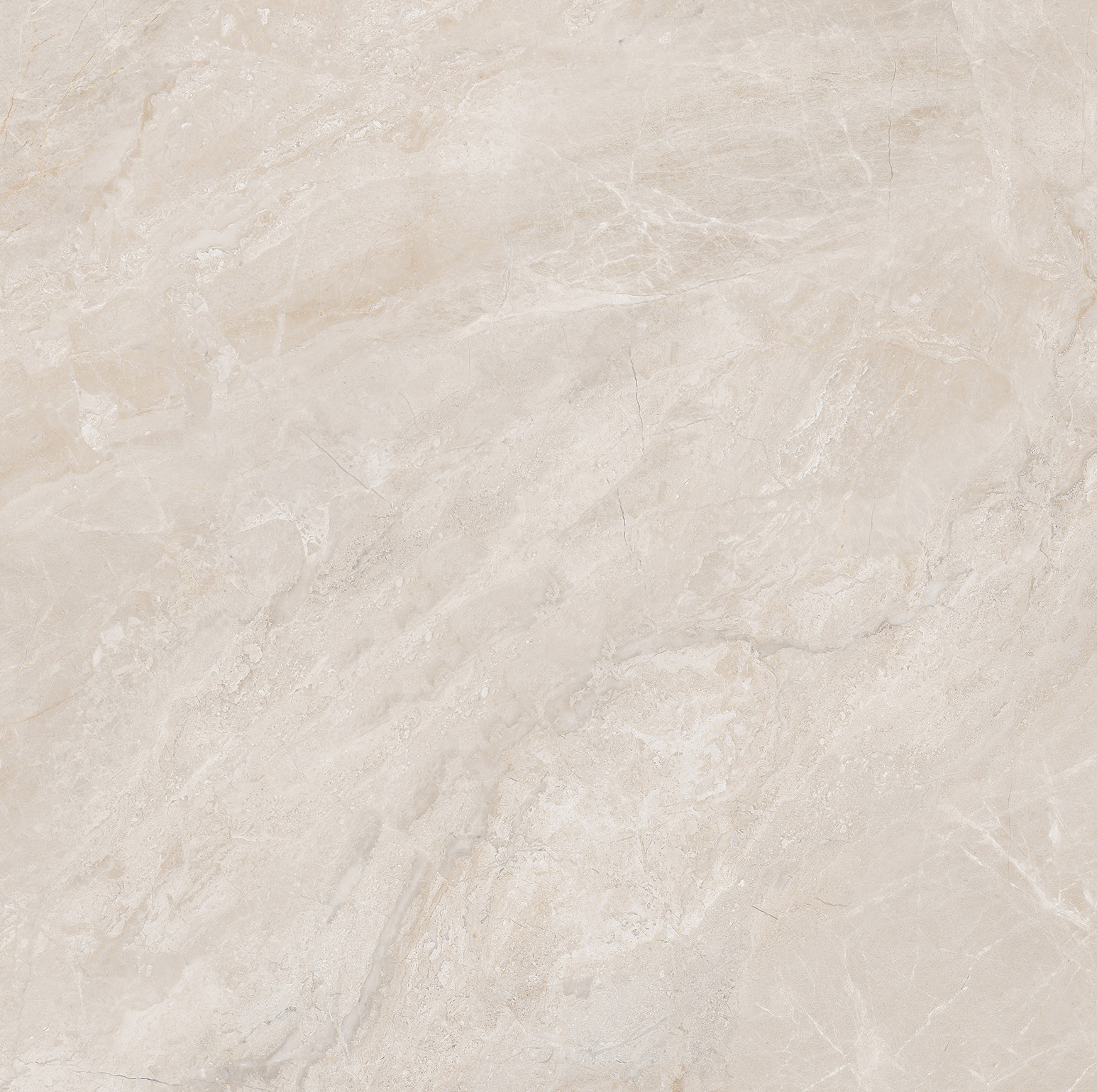 FTB8576-W加勒比納