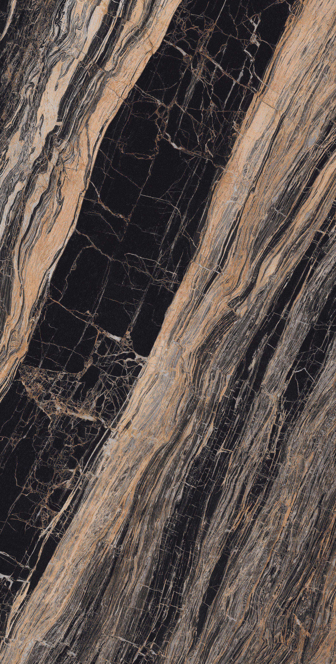 FTD12623-W 流金歲月