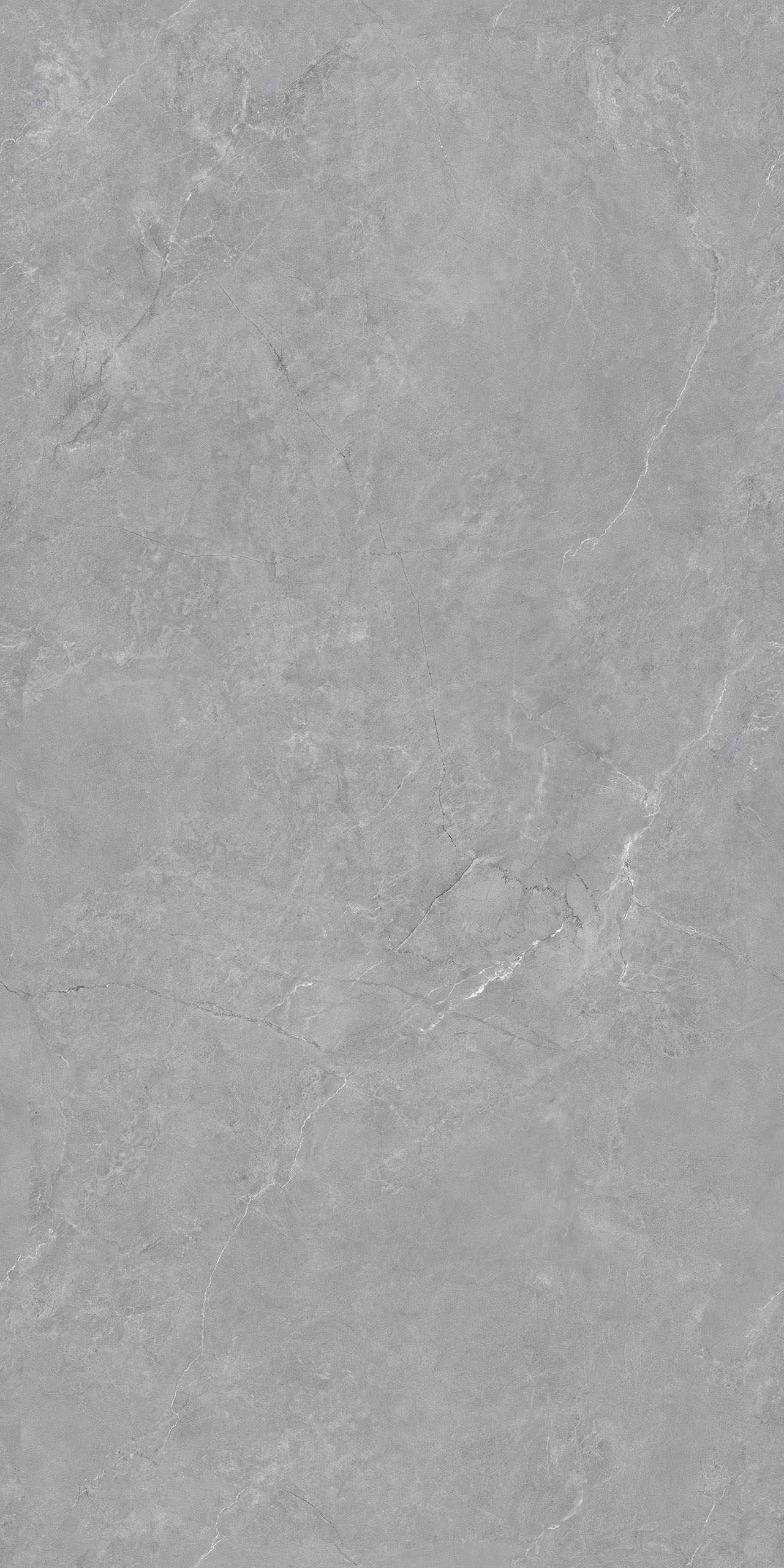 FTB12652-W 公爵灰