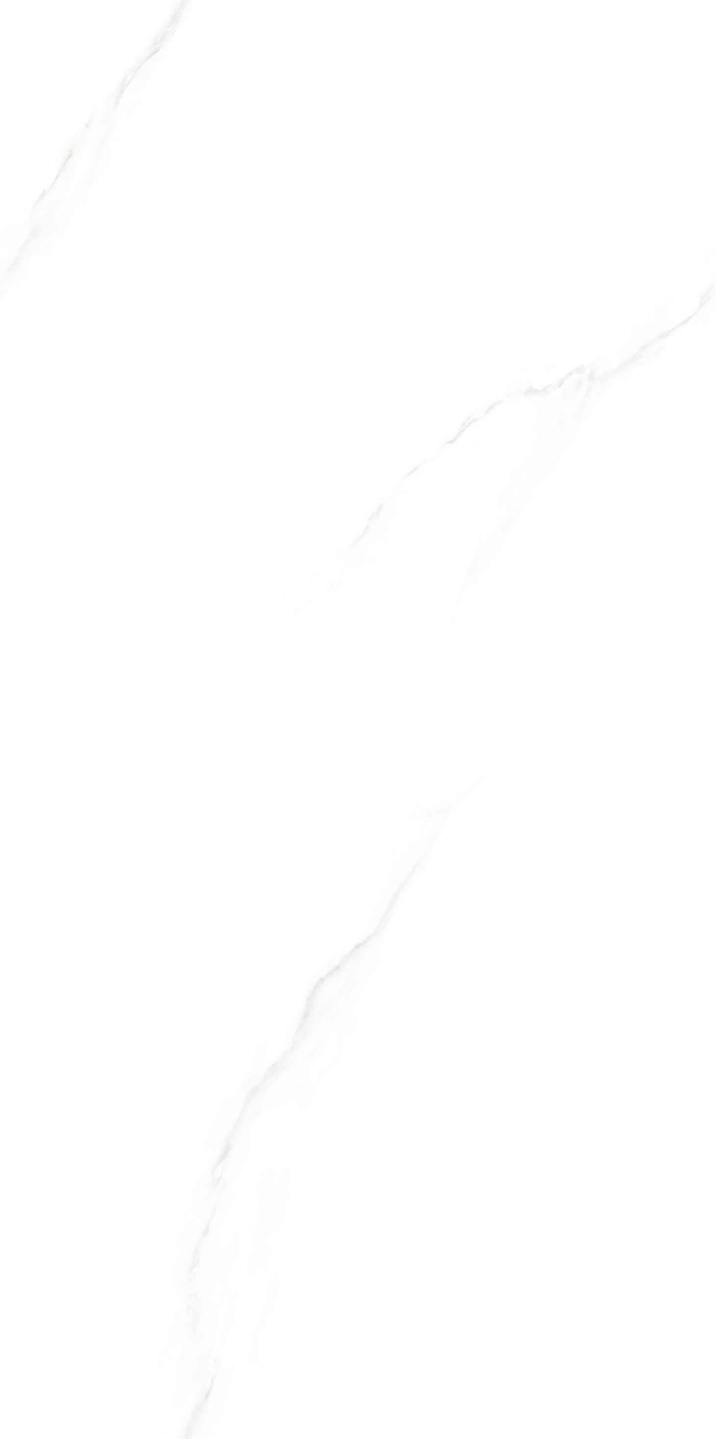 FTB12637-W 雅典娜白