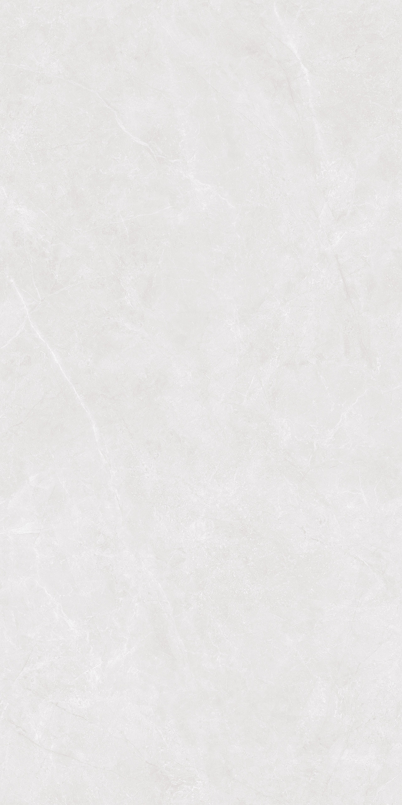 FTB12651-W 盧森堡灰