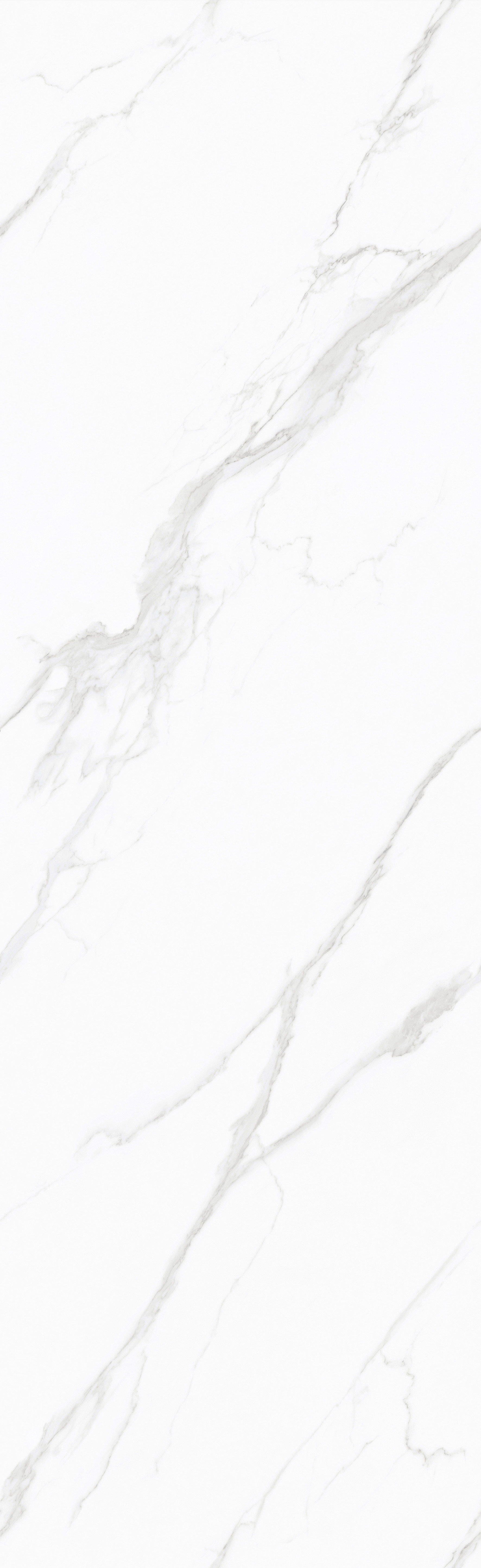 FYB802631-J 斯拉夫白