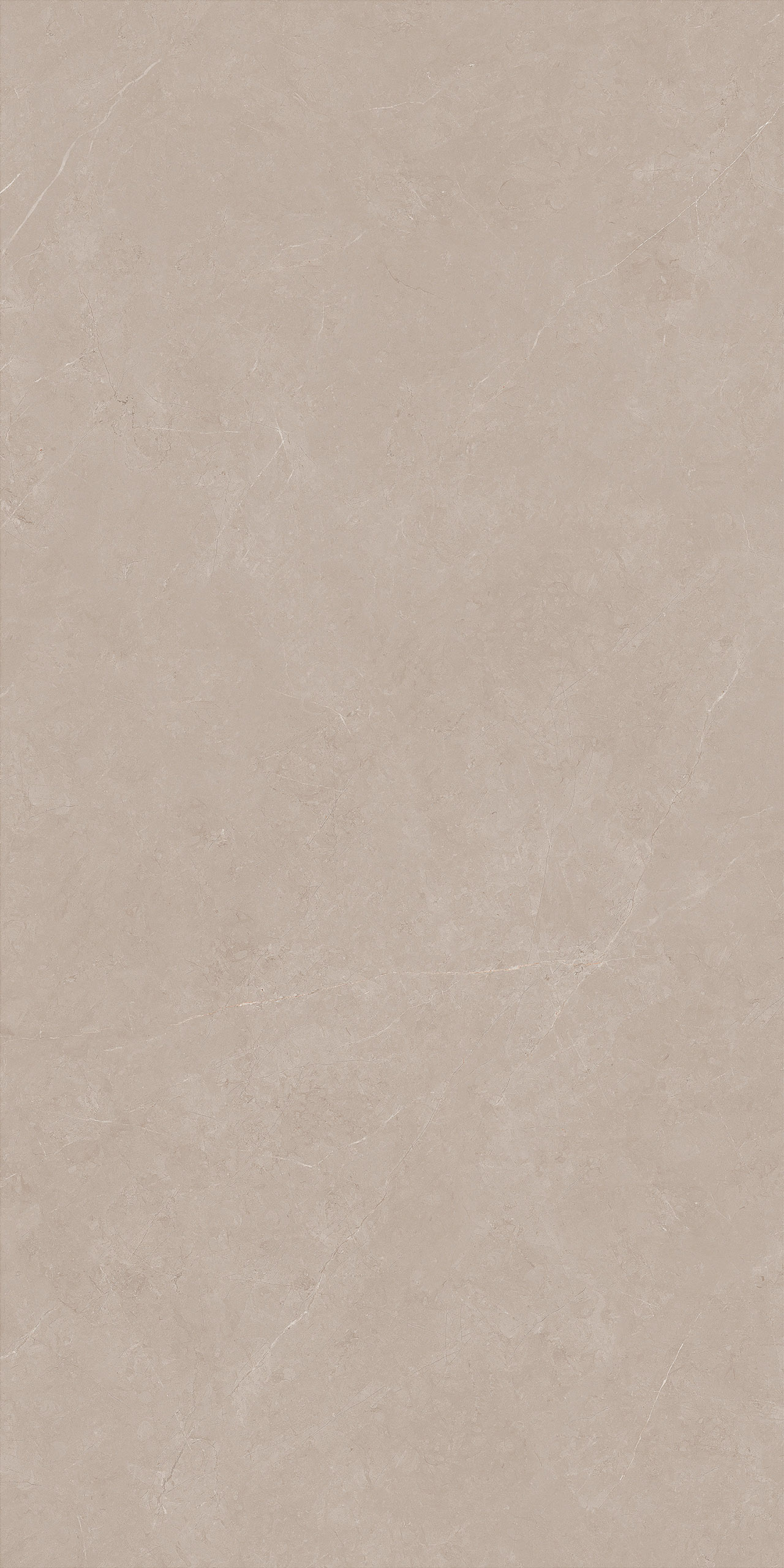 FTDB126603-W 深卡布琪諾