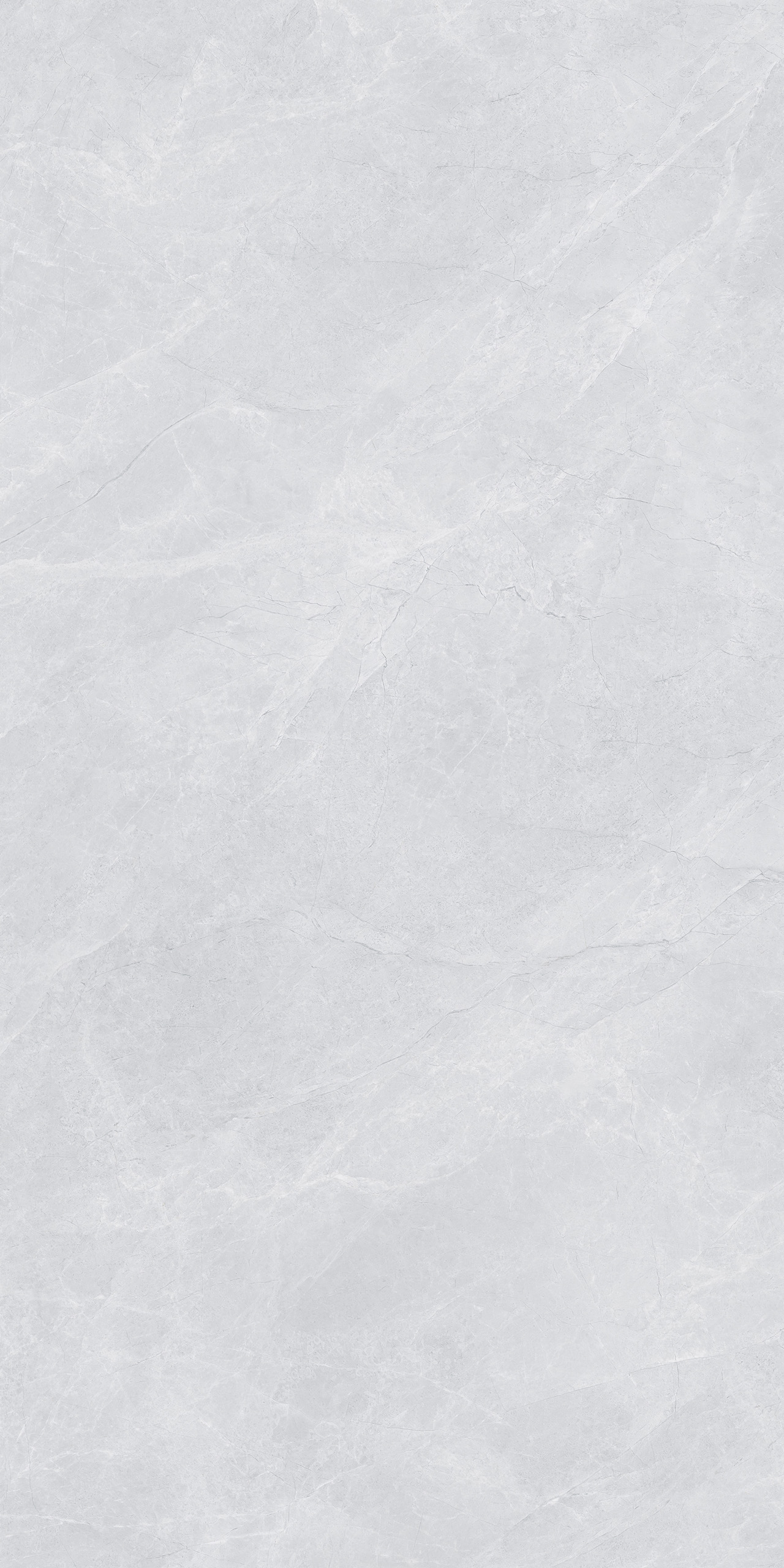 FTDB189611-W 科斯莫灰