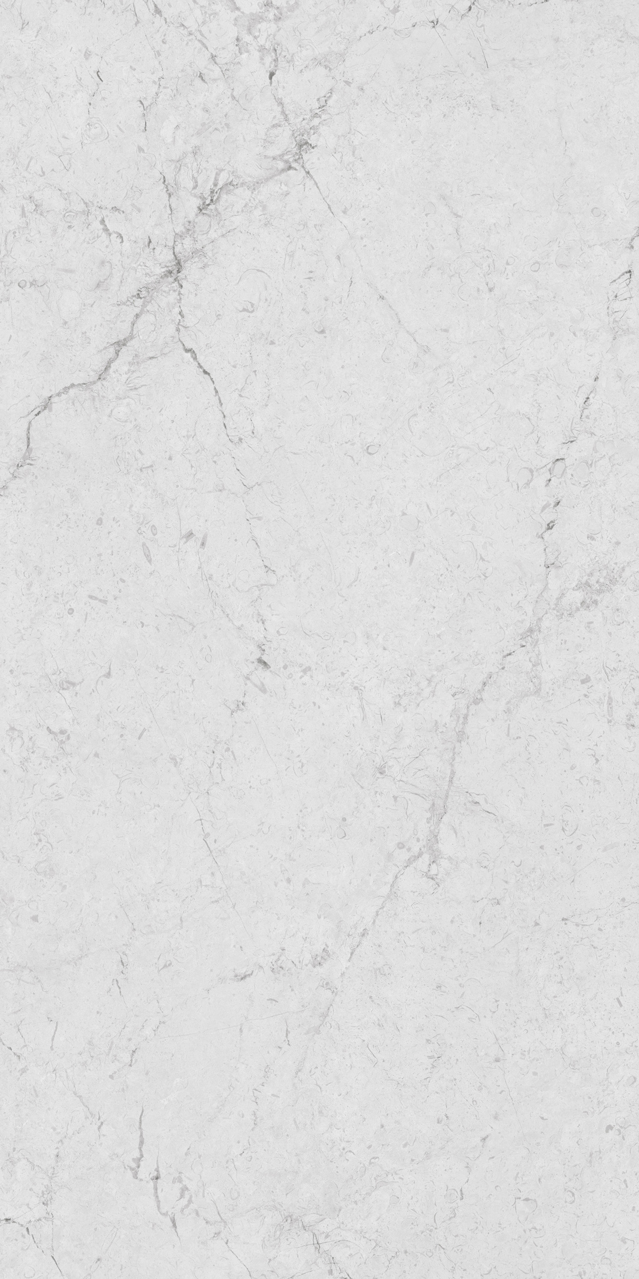 FTDB189609-W 極光白