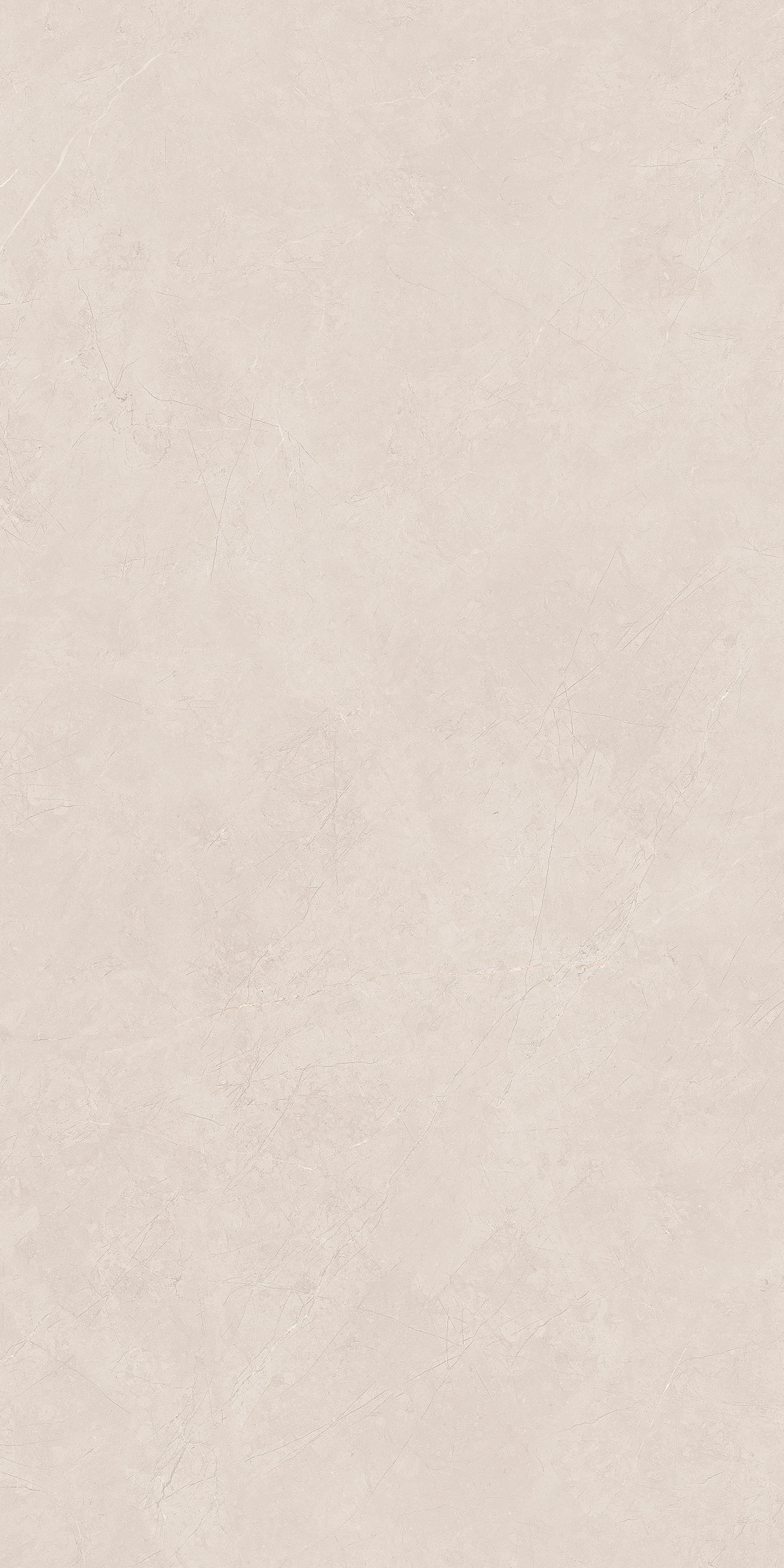 FTDB126602-W 淺卡布琪諾