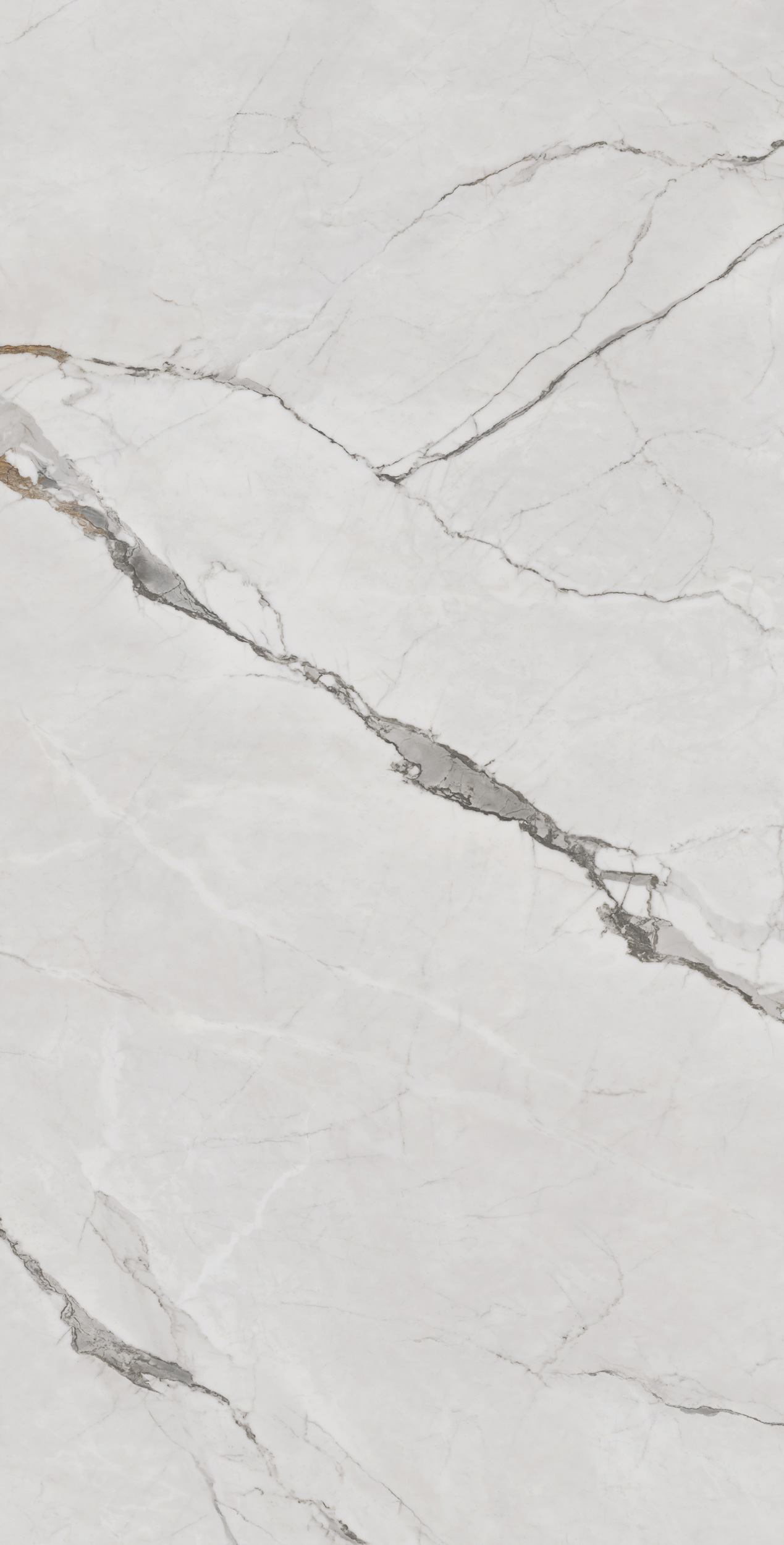 FTZB189205-南斯拉夫白