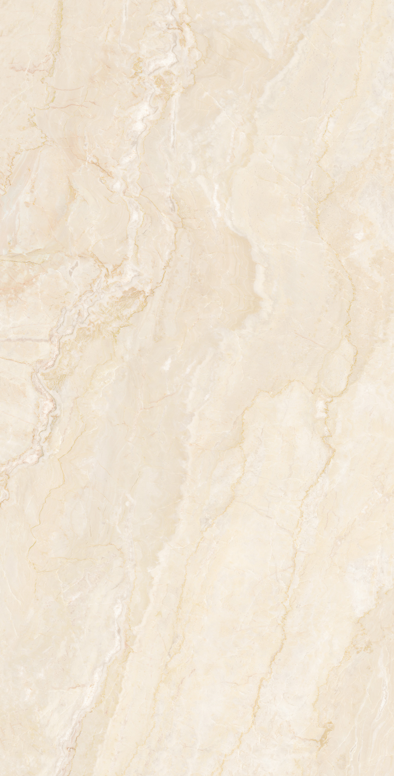 FTZB189206-普利達(dá)斯