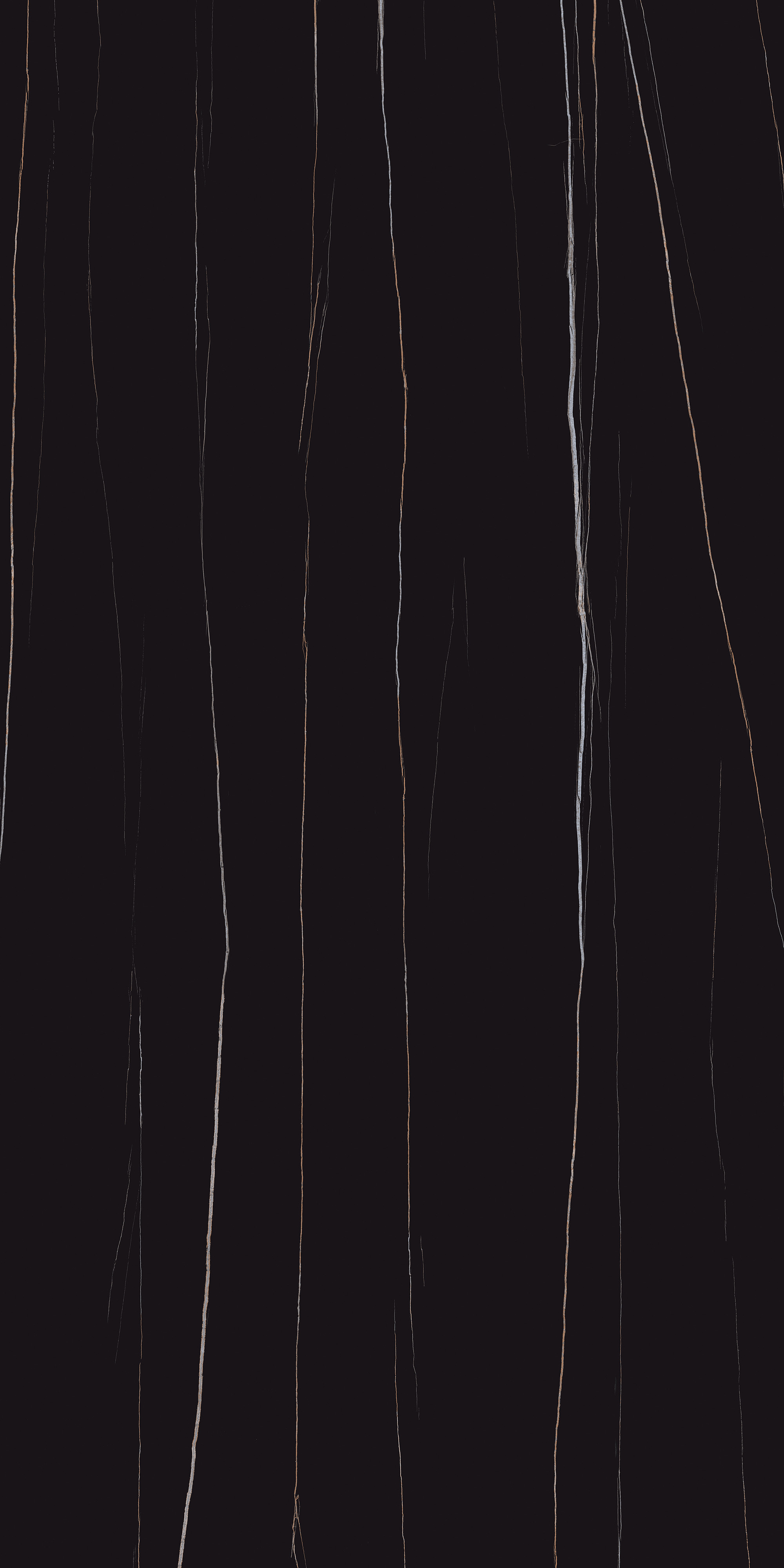 FTD189057-W 勞倫黑